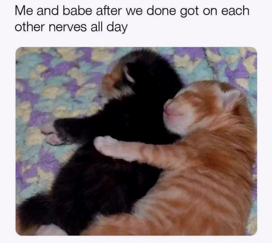 Meme hài hước về cặp đôi sau khi dành cả ngày để làm phiền nhau