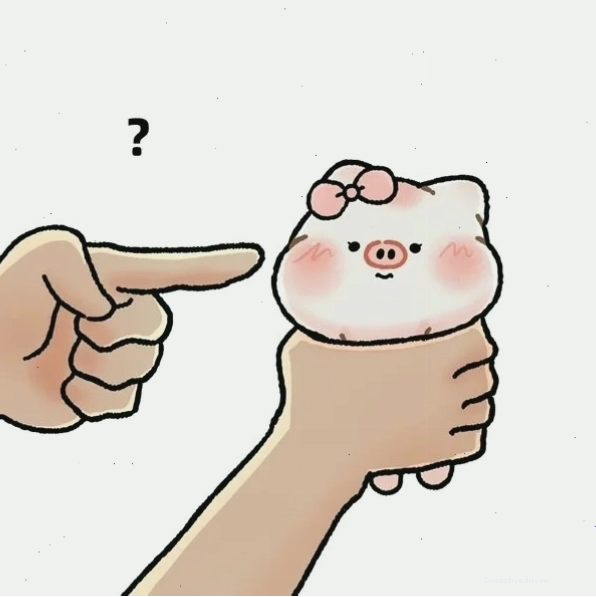 meme heo