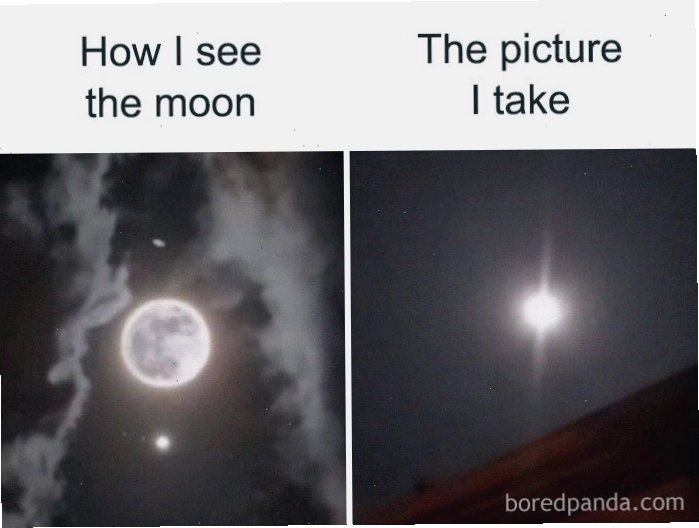 Meme joke minh họa sự lười biếng và trì hoãn.