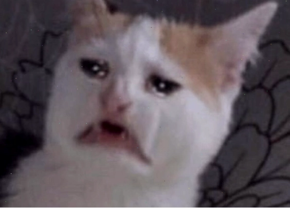Meme lau nước mắt với hiệu ứng đặc biệt