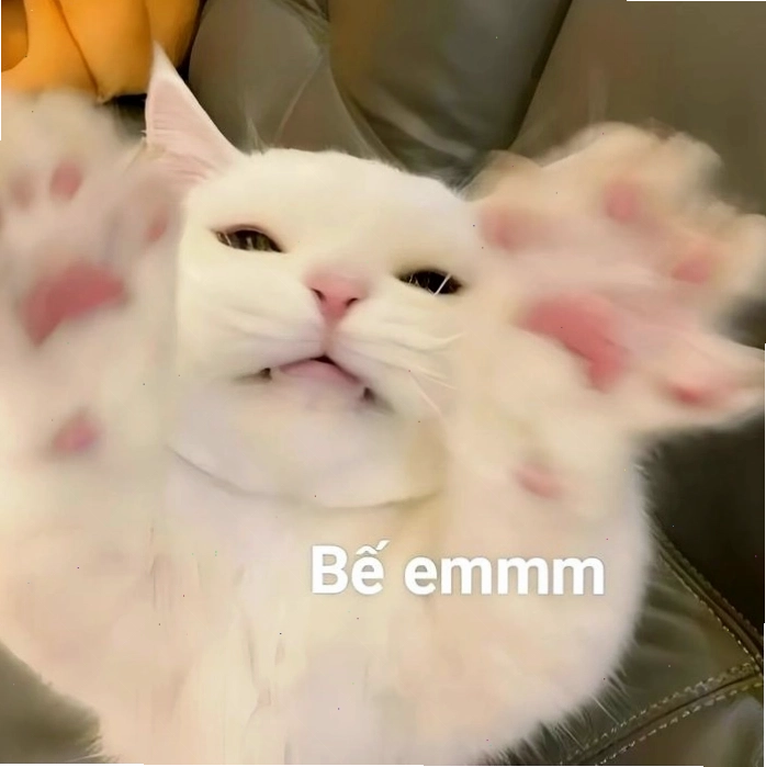 Meme liên quan đến tình yêu