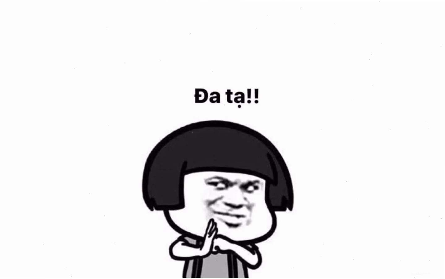 Meme mèo con nằm cuộn tròn đáng yêu