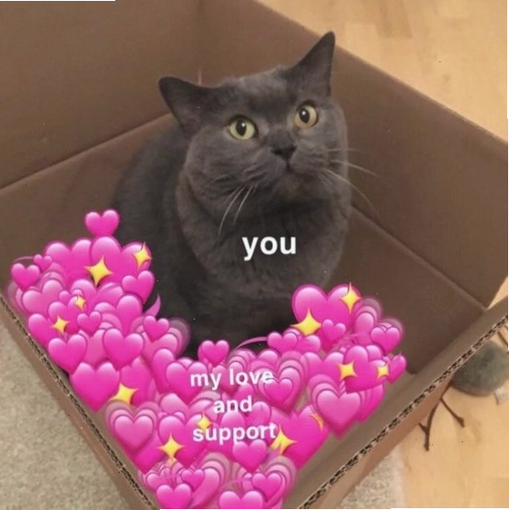 Meme mèo cute với ánh mắt long lanh
