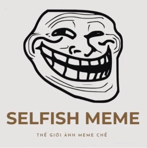 Meme mèo giật mình với ánh mắt tròn xoe