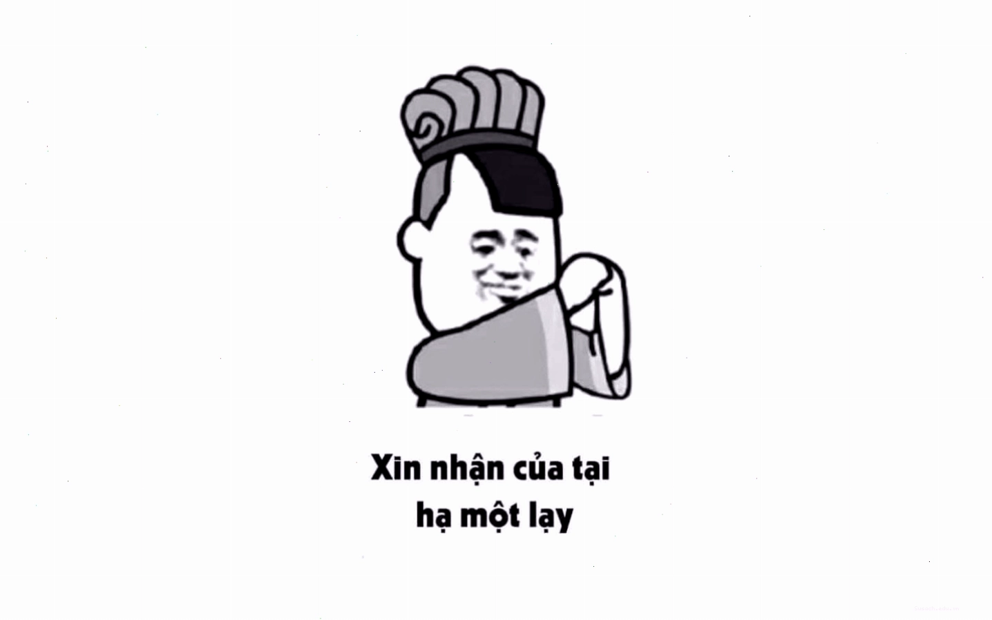 Meme mèo ngồi tạo dáng như người mẫu