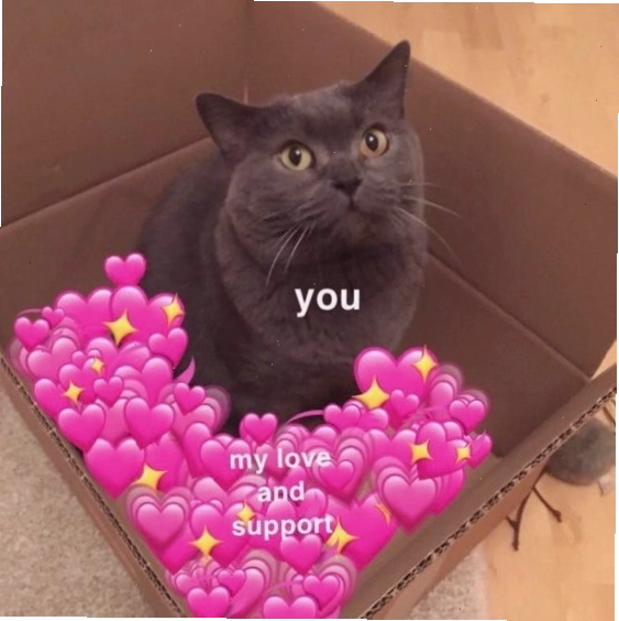 Meme mèo ôm nhau tạo cảm giác ấm áp