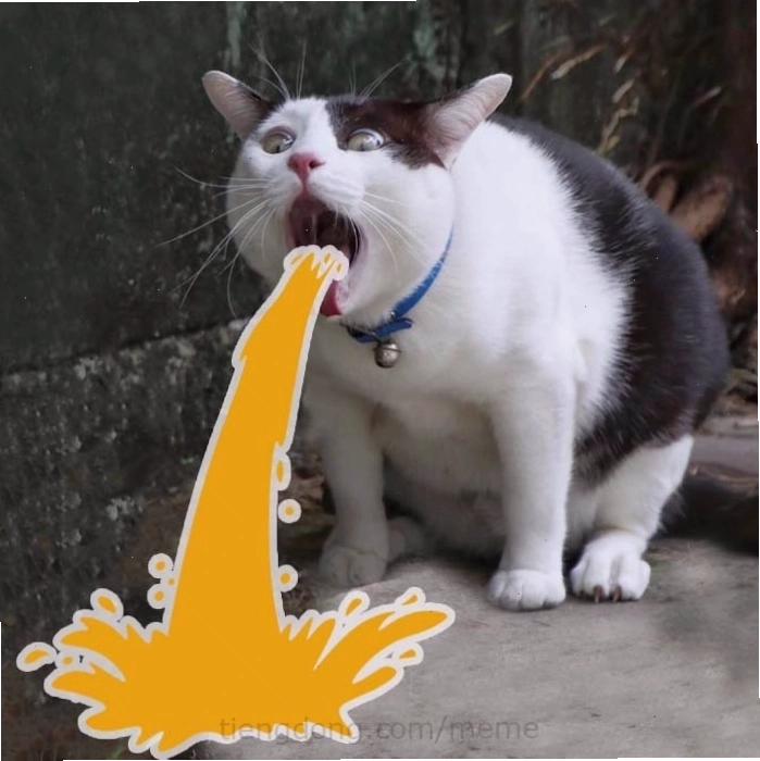 Meme mèo ôm nhau với biểu cảm hài hước