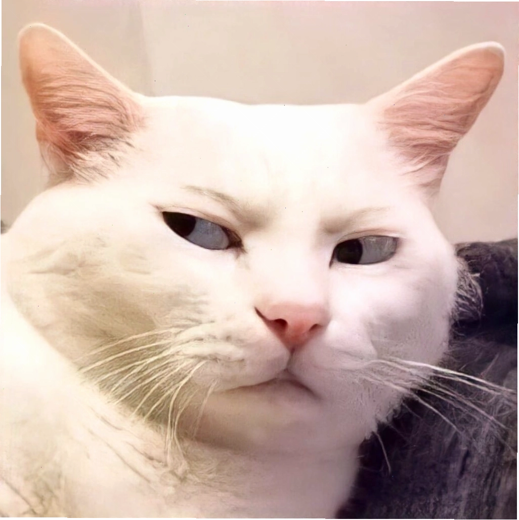 Meme mèo thể hiện sự lười biếng