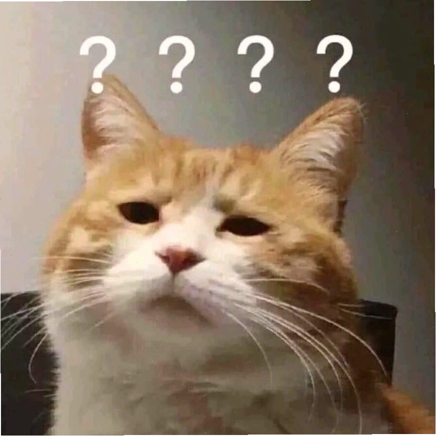 Meme mèo với biểu cảm tỉnh bơ