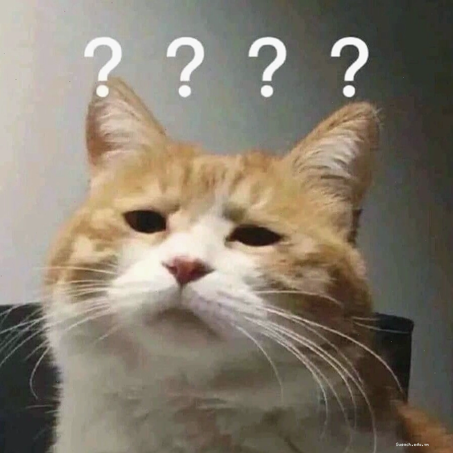 Meme mèo với gương mặt ngộ nghĩnh