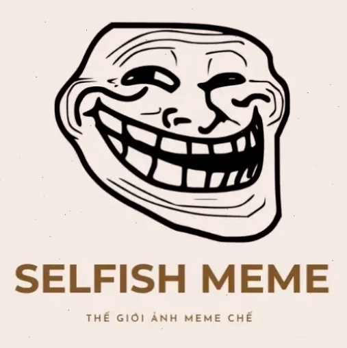 Meme năn nỉ với gương mặt mèo biểu cảm cực kỳ đáng yêu