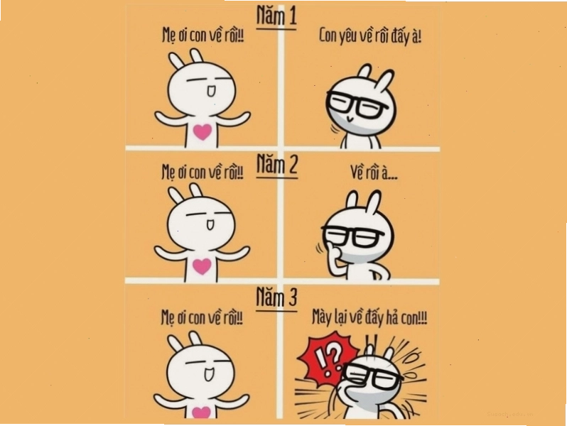 Meme người về thái độ phụ huynh sau 3 năm đại học của con