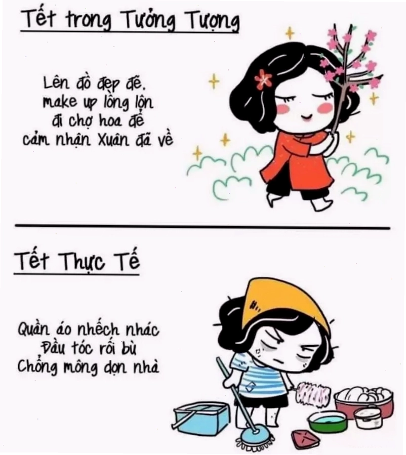 Meme Tết hài hước cho hội độc thân