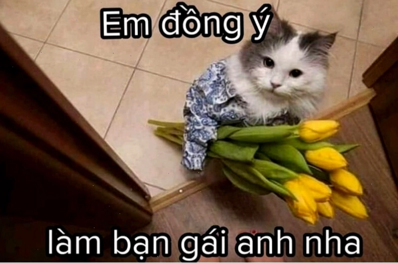 Meme tình yêu tâm trạng thể hiện sự thấu hiểu