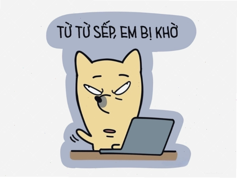 Meme từ từ sếp, em bị khờ