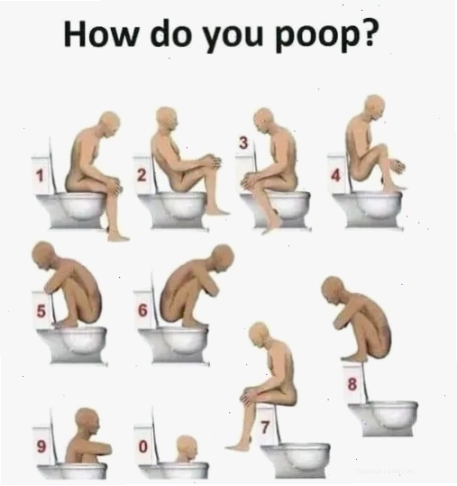 Meme về nhà vệ sinh với hình ảnh chú chó biểu cảm hài hước