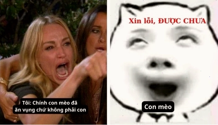 Meme xin lỗi được chưa với câu hỏi ngây ngô