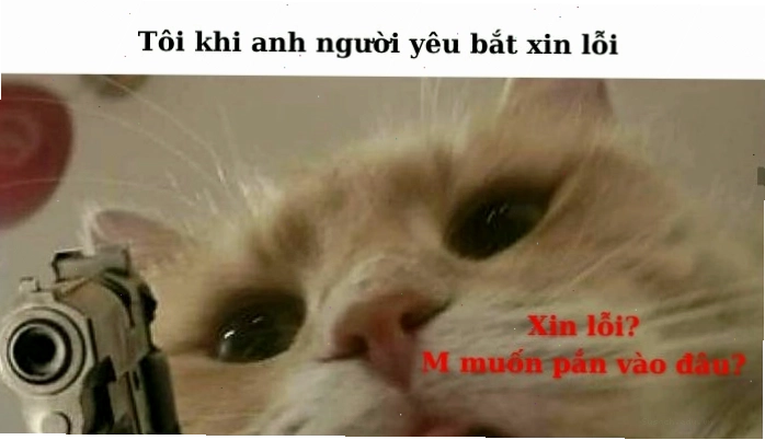 Meme xin lỗi hài hước với biểu cảm ngộ nghĩnh