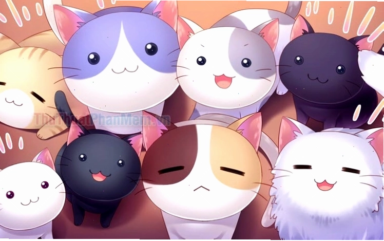 Mèo chibi mập cute
