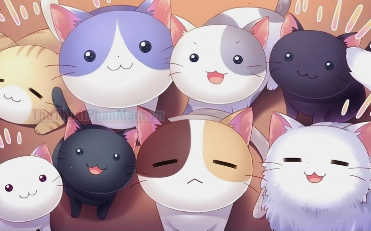 Mèo chibi mập ú cực kỳ dễ thương làm avatar
