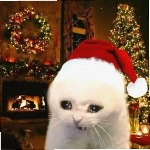 Mèo Giáng sinh với bộ râu ông già Noel giả