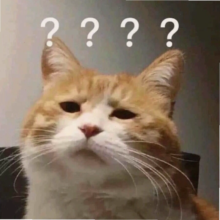 Mèo meme với biểu cảm giận dỗi