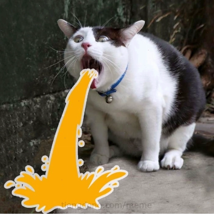Mèo nằm dài với biểu cảm mệt mỏi, avatar meme mèo vô tri