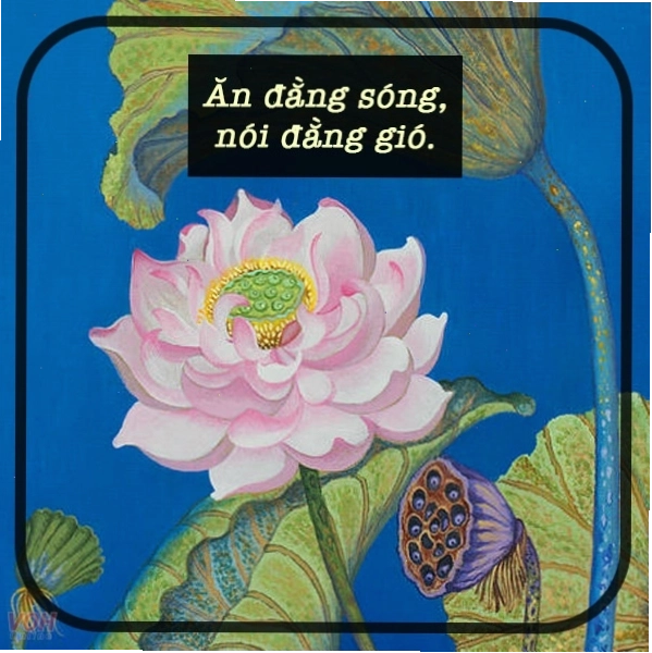 Minh họa lòng biết ơn, ý nghĩa câu ca dao ăn quả nhớ kẻ trồng cây