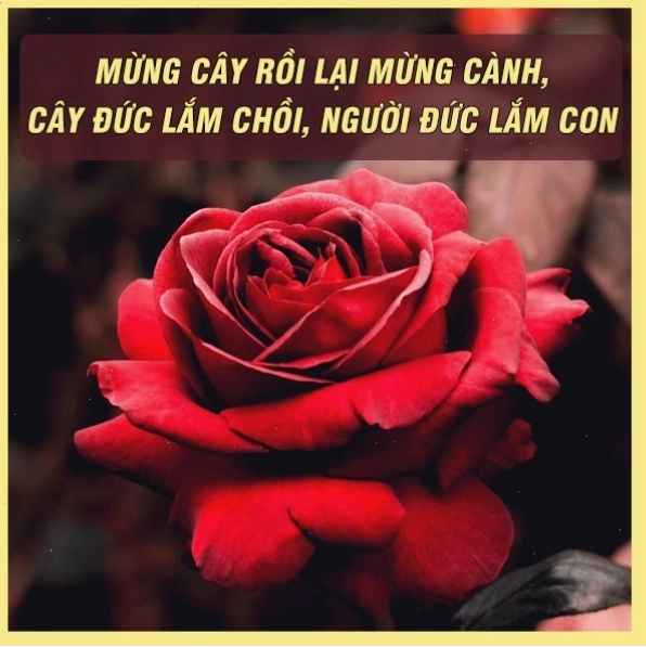 Một nhóm người cùng nhau giúp đỡ người gặp khó khăn thể hiện lòng nhân ái