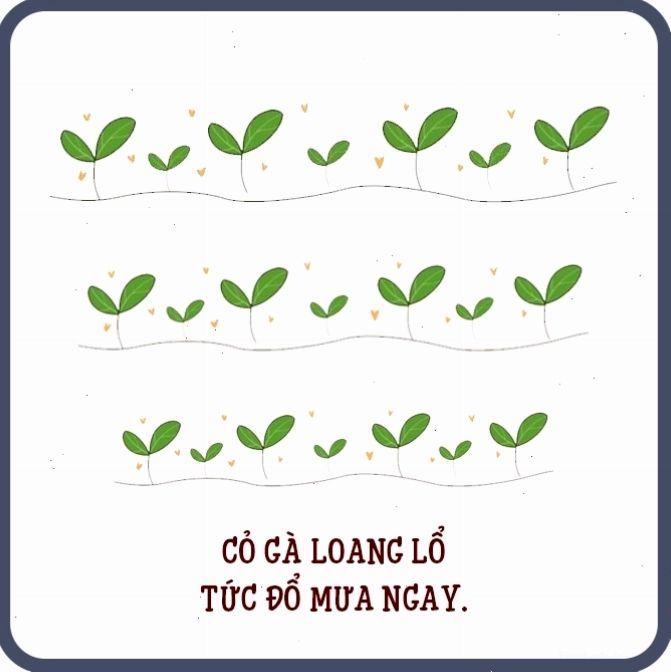Mùa màng bội thu nhờ hiểu biết về thiên nhiên