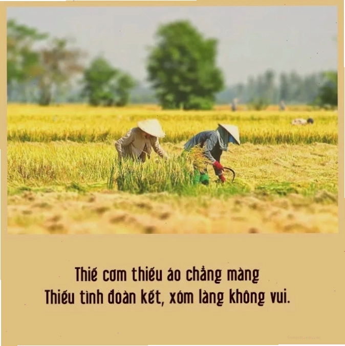 Người dân giúp đỡ nhau trong công việc đồng áng