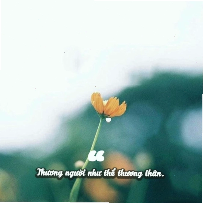 Người leo núi chinh phục đỉnh cao