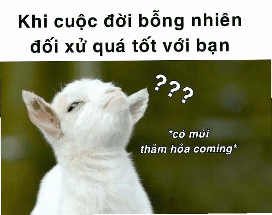 Những ảnh chế meme thể hiện sự nghi ngờ