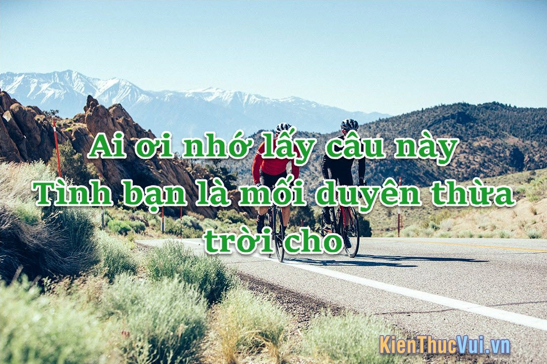 Những câu ca dao, tục ngữ hay về tình bạn sâu sắc ý nghĩa