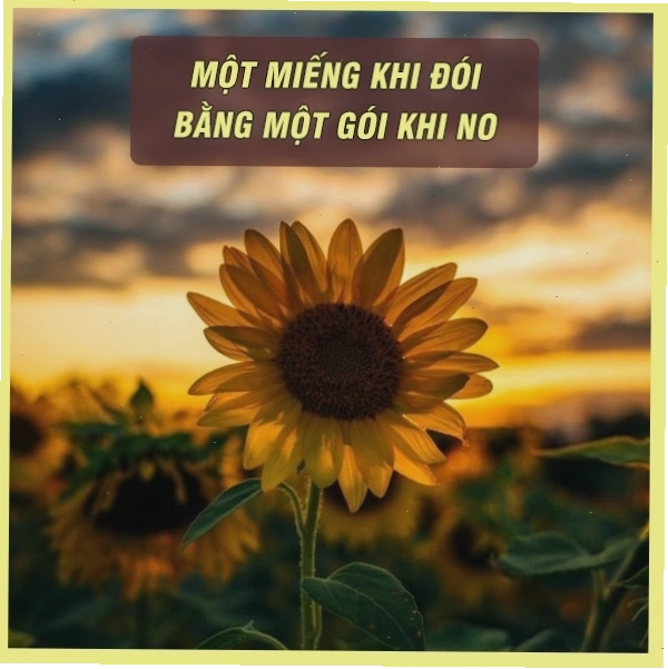 Những câu ca dao tục ngữ về nhân nghĩa: Bầu ơi thương lấy bí cùng