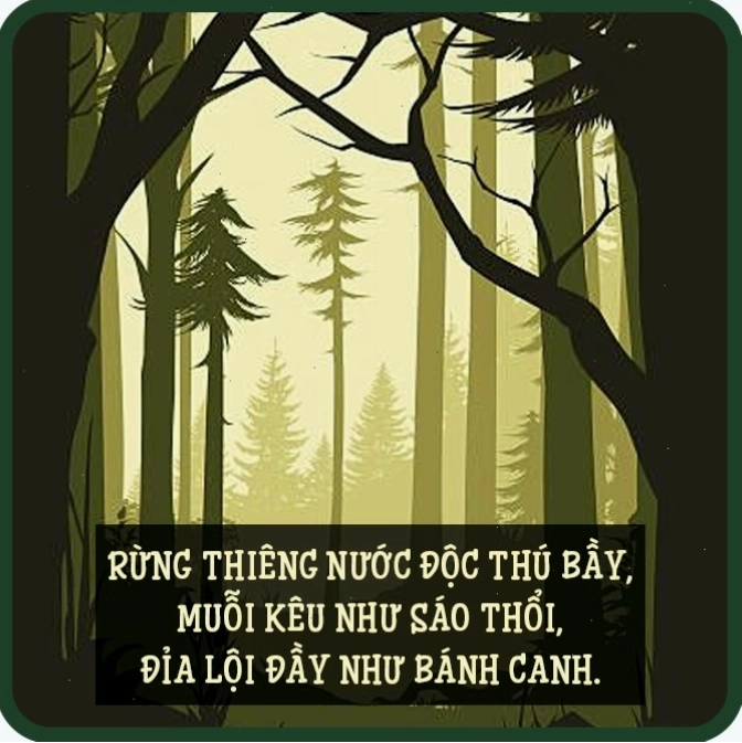 Những câu ca dao về quê hương đất nước thể hiện tình yêu quê hương sâu sắc