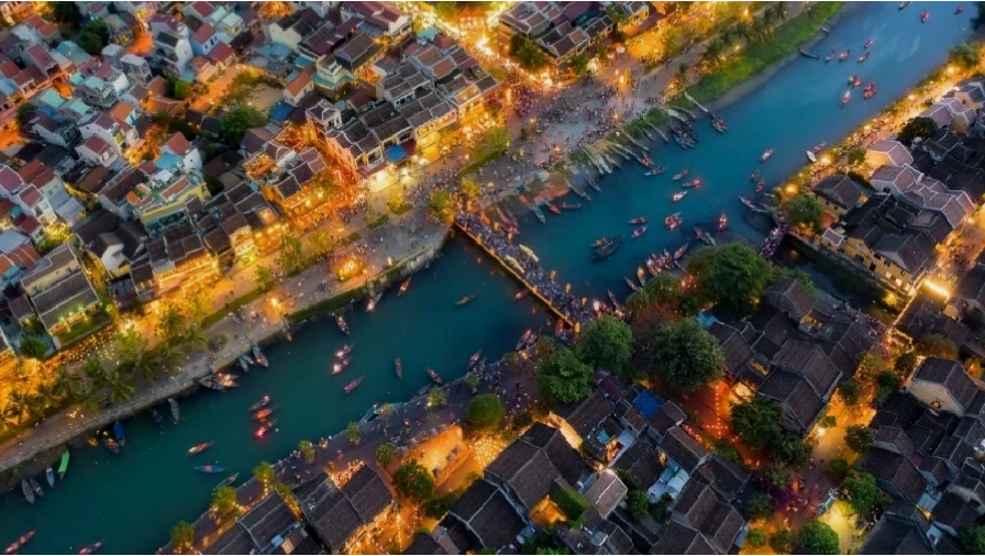 Rừng cây cổ thụ với ánh nắng chiếu xuyên qua tán lá
