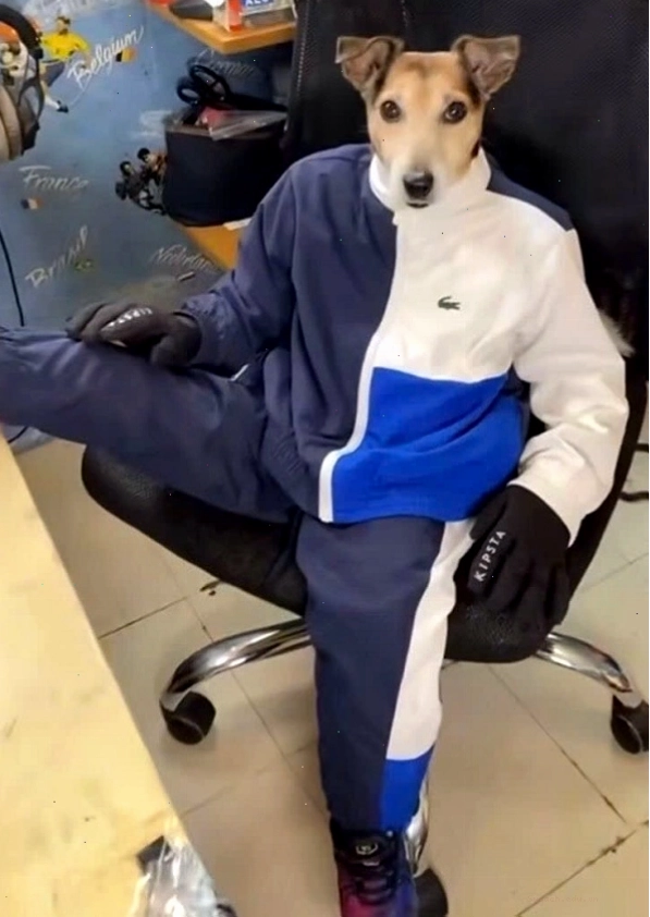 Sigma Boy đứng một mình, thể hiện sự tự chủ