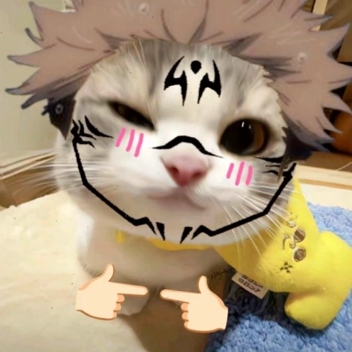 Sukuna meme biểu cảm tức giận
