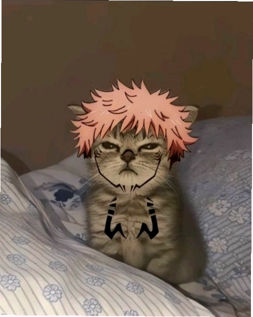 Sukuna meme phiên bản chibi