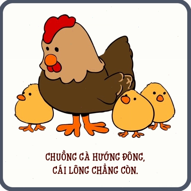 Tầm quan trọng của con trâu trong sản xuất nông nghiệp
