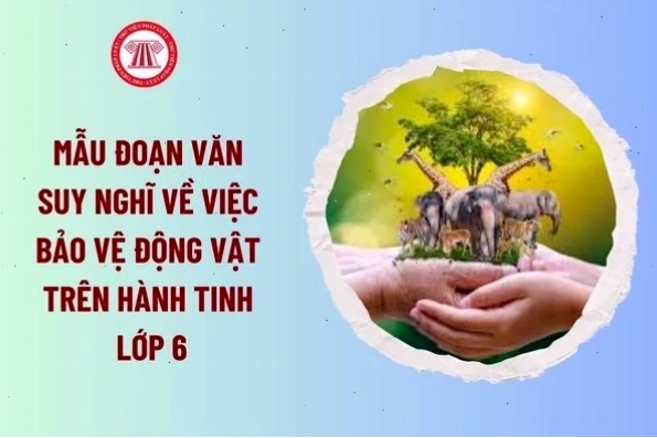 Thầy và trò cùng nhau tham gia hoạt động ngoại khóa ý nghĩa