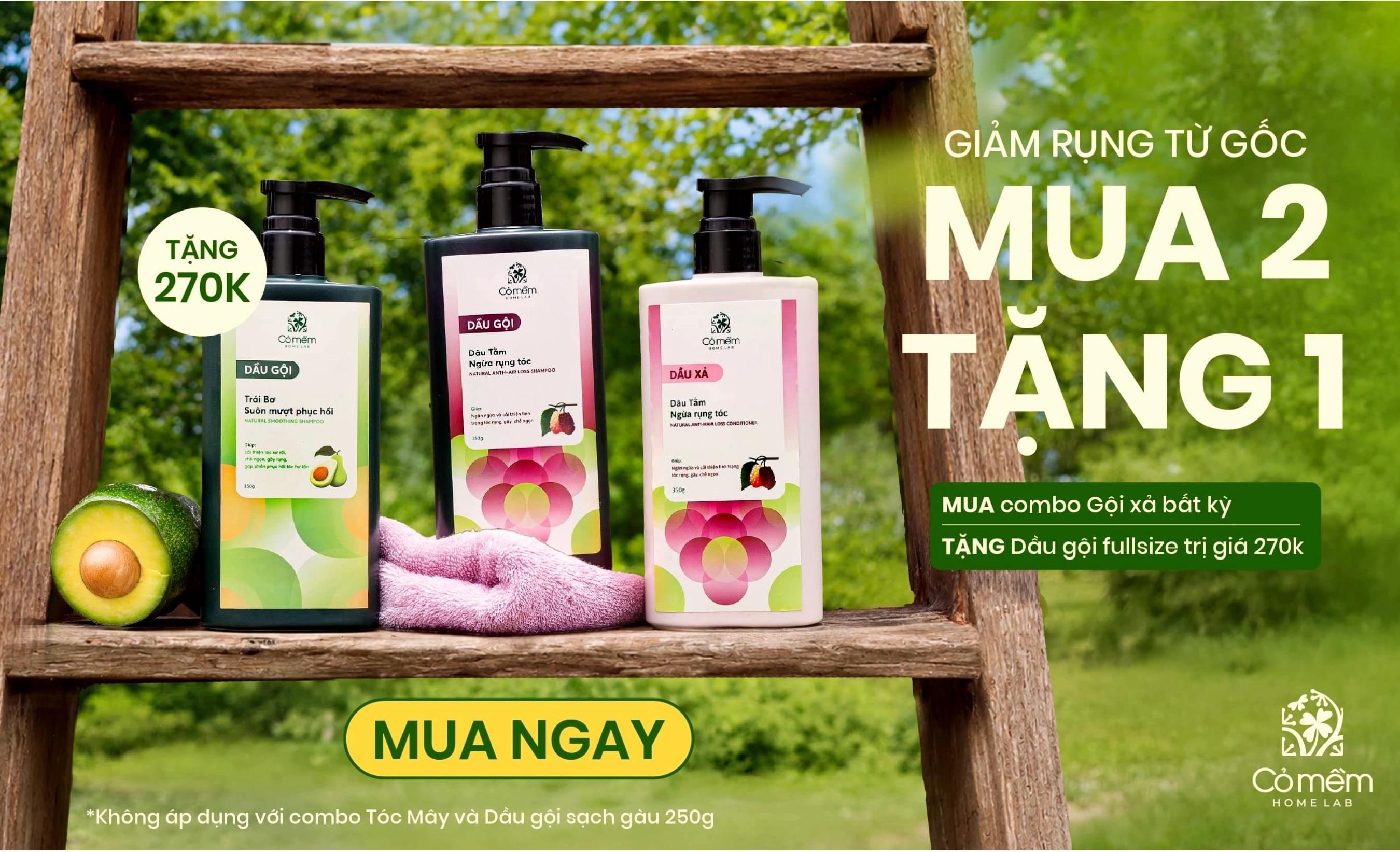 Tìm hiểu về dịch vụ móc light tóc