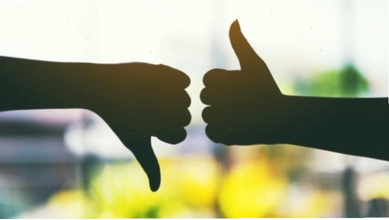 Tình bạn thầy trò cao quý