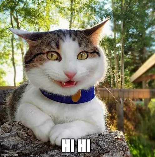 Tổng hợp 55 Meme Cười Hihi đáng yêu mô tả niềm vui nhỏ