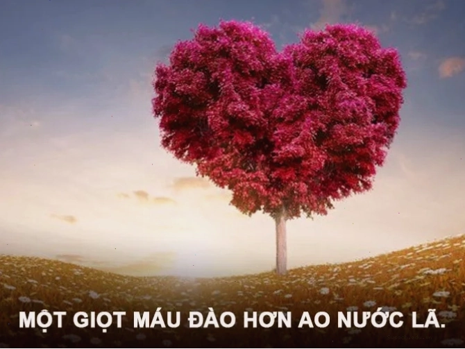 Tổng hợp các câu ca dao tục ngữ về tình yêu thương con người ý nghĩa