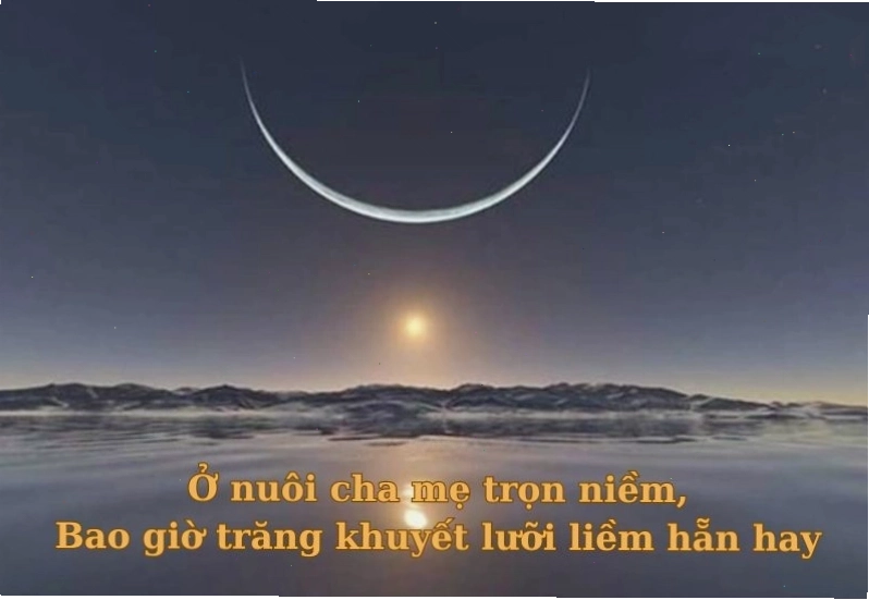 Tục ngữ về lòng hiếu thảo của con cái