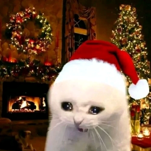 Tuyển Tập Ảnh Mèo Giáng Sinh Meme Vô Tri Cho Năm 2026