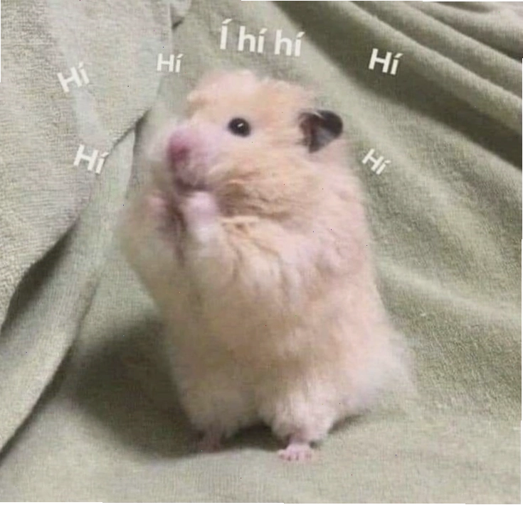 Tuyển tập meme hamster hài hước với nhiều biểu cảm khác nhau