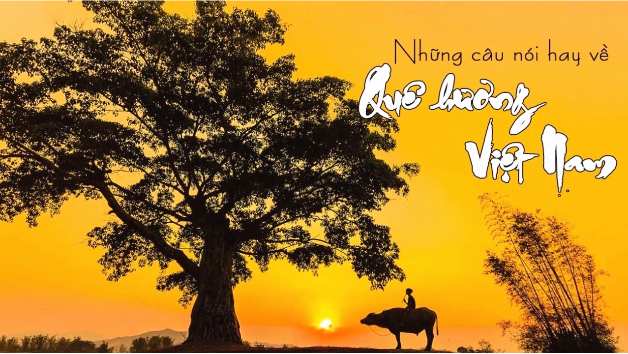 Tuyển tập những câu ca dao hay về quê hương Việt Nam